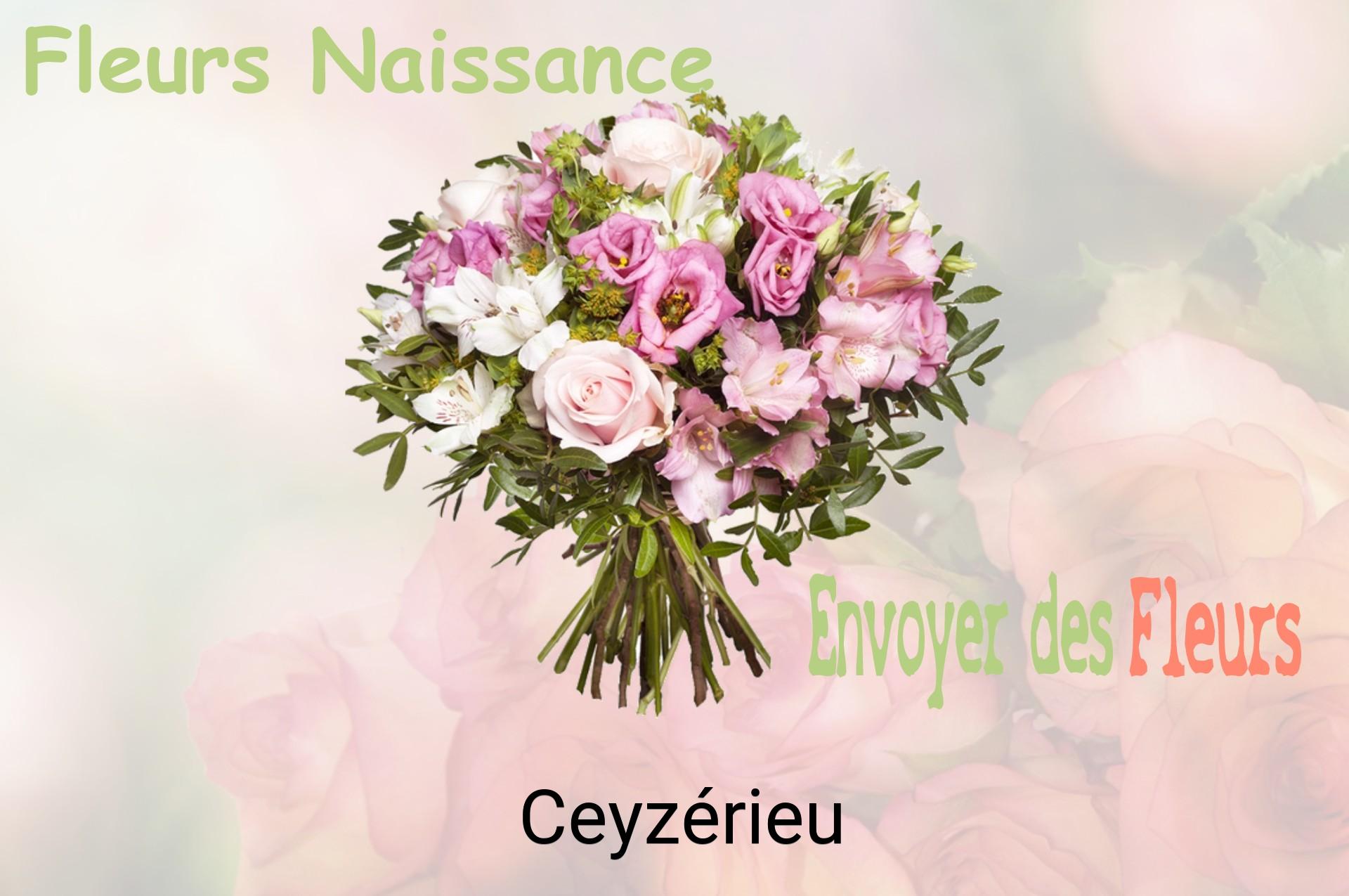 Bouquet de fleurs de naissance livré à Ceyzérieu